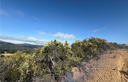 76386 Bryson Hesperia Road, Bradley, CA 93426