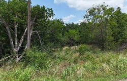 (OFF) HCR 3255, Mount Calm, TX 76673