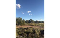 3893 Trebil Boulevard, Snowflake, AZ 85937