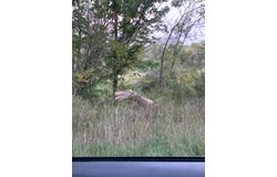 30th Avenue, Remus, MI 49340