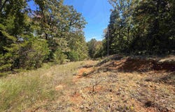 L5 B8 Dannels Drive, Highland, AR 72542