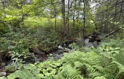 4716 Route 5, Sutton, VT 05867