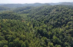 Forest Service Road, Mena, AR 71953