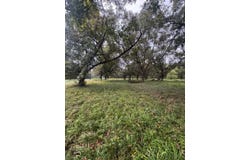 Highway 65 lot: 5, Tallulah, LA 71282