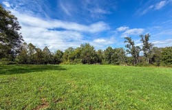 Boyd Ridge Rd., Bellaire, OH 43906