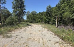 5551 N 9 Road, Mesick, MI 49668
