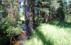 14074 B Morell Road, McCall, ID 83638