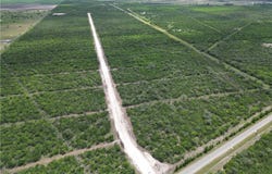 7304 Corrigan Ranch Drive- Tract 1, Skidmore, TX 78389