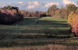 35188 Wolf Hill Road, Mc Arthur, OH 45651