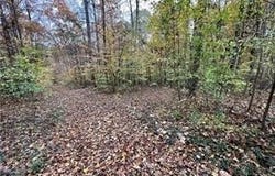 Aladdin Road, Pfafftown, NC 27040