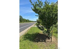 615 Highway 82 E, Reform, AL 35481