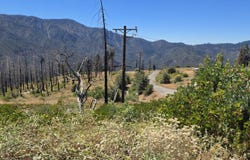 53037 Pine View Drive, Springville, CA 93265