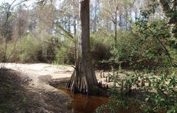 8284 Hwy 28, MIZE, MS 39111
