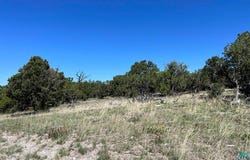 Solano Rd, Pie Town, NM 87827