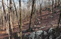 3373 Highway 347, Bismarck, AR 71929