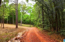 387 MAGNOLIA LANE lot: 1, VANDIVER, AL 35176