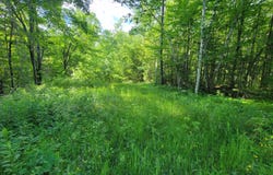 ON HUNTING RIVER RD, Elcho, WI 54428
