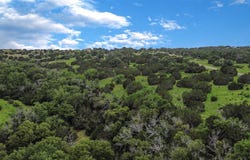 Walnut Canyon Dr lot: 59, Bertram, TX 78605