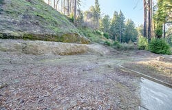 315 Lake DR, BOULDER CREEK, CA 95006