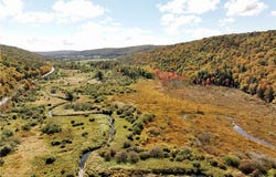 Halsey Valley Rd, Spencer, NY 14883