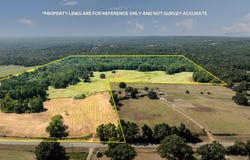6020 E Fm 321, PALESTINE, TX 75803