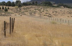 Tamblin Rd Lot 238, Tehachapi, CA 93561
