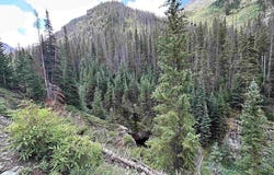 Forester CR 23, Silverton, CO 81433