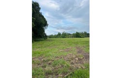 13072 Capace Rd, Independence, LA 70443
