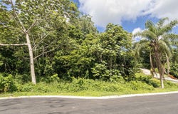 Hato Nuevo, Guaynabo, PR 00971
