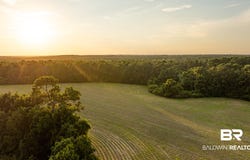 O Pine Road S, Stapleton, AL 36578