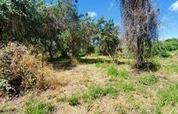 Mooney Lane lot: 2, Ingleside, TX 78362