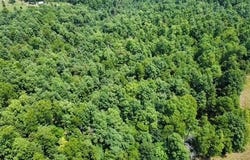 County Road 434, Birch Tree, MO 65438