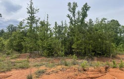 Davis Ishee Road, DeKalb, MS 39328