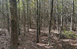 Hwy 12, Caledonia, MS 39740