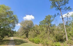 W Edgewood Dr, FL 32139