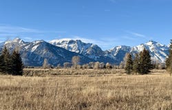 N TIMOTHY Road, Jackson, WY 83001