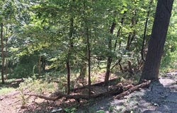 ROME BEAUTY Drive, LINDEN, VA 22642