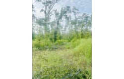 PID 28848 CR 1735, Grapeland, TX 75844