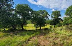 CR 411B, Pontotoc, TX 76869