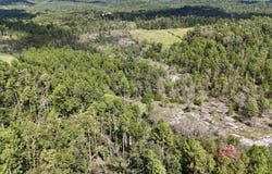 381 Preacher Road, Melbourne, AR 72556