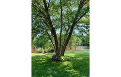 8776 Adams Drive E, Suffolk, VA 23433