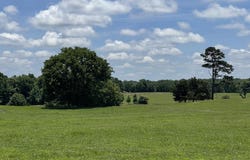 Orchard Road, Greenbrier, AR 72058