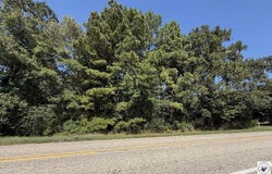FM 2789, DeKalb, TX 75559