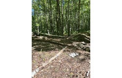 #56 S Waterboro Road, Lyman, ME 04002