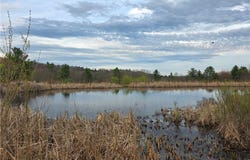 846 Butternut Road, Unadilla, NY 13849