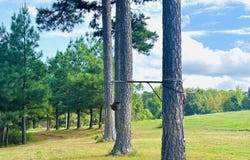 3334 Little Red River Road, Marshall, AR 72650