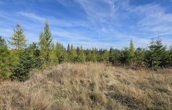 Timberline Heights, Parcel 2, Weippe, ID 83553