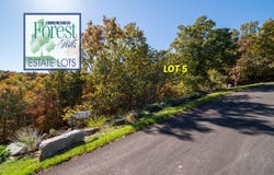 Canada Drive lot: 5, Branson West, MO 65737