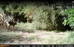 4001 WATER RESERVOIR RD, Frederick, IL 62639