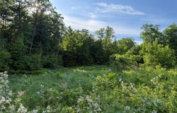 Shady Lane, Trego, WI 54888